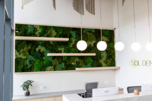 Sol Dental Studio Office